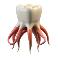 energetic immaculate Hyper-specific, photorealistic, isolated cutout of a single, decaying, human tooth, with roots transformed into writhing tentacles with Transparent Background expertly shot png