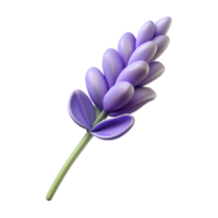 alluring unforgettable Hyper-specific, photorealistic, isolated cutout of a single, dried lavender flower with Transparent Background png