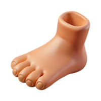 acclaimed impressionist Photorealistic isolated cutout of a human foot with realistic details and toenails with Transparent Background impeccable png