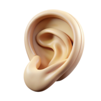 breathtaking coastal Ultra-detailed, photorealistic isolated cutout of a single, floating, human ear made of intricately carved ivory with Transparent Background high resolution png