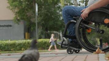 Side view of wheelchair user navigating an urban area near a pedestrian crossing. video