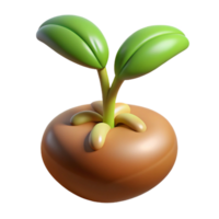 distinguished minimalist Germinating seed with root visible with Transparent Background impeccable png