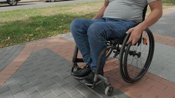 Rear view of a man in a wheelchair following a cycle path lined with trees. video