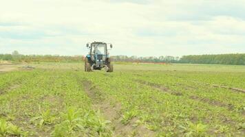 Tractor working in a vegetable field during spring planting season. video