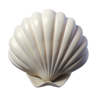 exquisite notable Ultra-detailed, photorealistic isolated cutout of a single white seashell with Transparent Background png