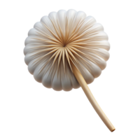 elegant standout Single dandelion seedhead with Transparent Background png