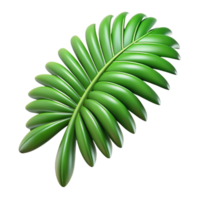 calm fascinating Palm tree leaf with Transparent Background top-tier png