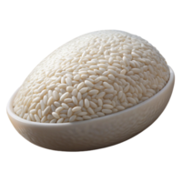 alluring rare Hyper-specific professional render of a single grain of rice with realistic texture and white color with Transparent Background png