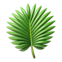 breathtaking timeless Palm tree leaf with Transparent Background png