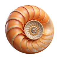 alluring timeless Ultra-detailed, isolated cutout of a single, perfect spiral nautilus shell with its chambers visible with Transparent Background png