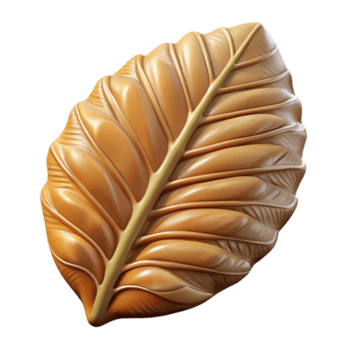 ambita geometrico iperspecifico concetto arte rendere di un' singolo fossilizzato foglia con trasparente sfondo acuto png