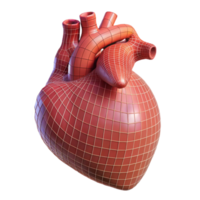 mesmerizing calm organic A human heart, anatomical, wireframe style with Transparent Background 8K png
