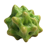 elegant signature Concept art style, isolated cutout of a single, textured piece of dried seaweed with Transparent Background png