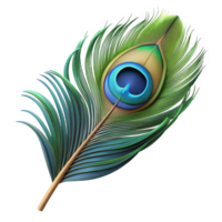 dramatic dynamic renaissance Hyper-specific professional render of a single photorealistic feather, peacock feather, isolated cutout with Transparent Background crisp png