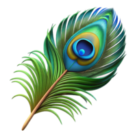 stunning timeless Photorealistic professional render, isolated cutout of a single, vibrant peacock feather, hyper-specific with Transparent Background png