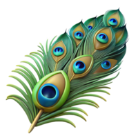 impressive sought-after Photorealistic hyper-specific isolated cutout of a single peacock Pavo cristatus feather, with Transparent Background png
