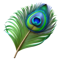 radiant timeless Ultra-detailed isolated cutout of a hyper-specific photorealistic peacock feather, iridescent, blue and green eye, detailed barbs, with Transparent Background png