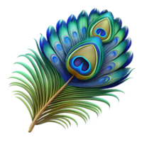 notable coastal Ultra-detailed isolated cutout of a hyper-specific photorealistic peacock feather, iridescent, blue and green eye, detailed barbs, with Transparent Background high quality png