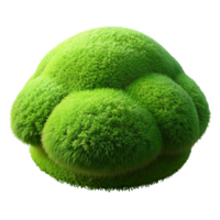 rare retro Concept art style, hyper-specific isolated cutout of a single, vibrant green moss clump with detailed texture with Transparent Background studio quality png
