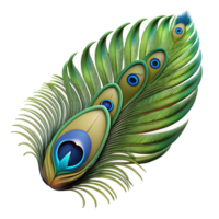 energetic picturesque Hyper-specific professional render of a single photorealistic feather, peacock feather, isolated cutout with Transparent Background detailed png
