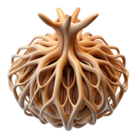 stunning minimalist Root System Intricate Detail Isolated Element authentic png