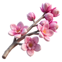 stunning modern Snowy Branch with Pink Boreal Blossoms Transparent Background high resolution png