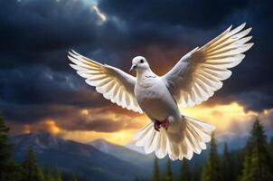 White dove flying in the sky with clouds in the background photo