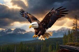 An eagle soaring over the mountains with clouds in the background photo
