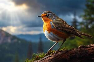 A bird is sitting on a branch in front of a mountain photo
