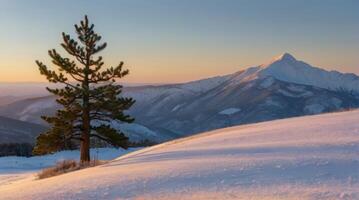 A lone tree stands on a snowy hillside at sunset photo