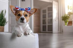 A small dog with a playful expression is resting its front paws on a soft cushion inside a modern living room filled with natural light photo