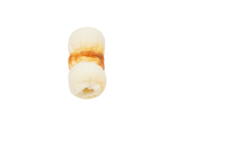 Uncooked chikuwa or processed Japanese fish meat isolated on transparent background png