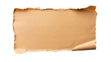 Torn craft paper with curled corners, texture on black background, cut out transparent png