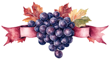 Red grape cluster with ribbon and autumn leaves, cut out transparent png