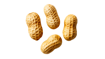 Group of raw peanuts with shells isolated on black background, cut out transparent png