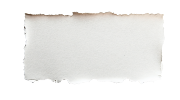 Torn white blank sheet of paper with rough edges, cut out transparent png