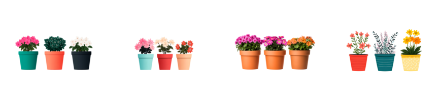 Potted flowers with various colors and different pots, cut out transparent png