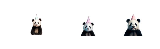 Pandas wearing party hats at a birthday celebration, cut out transparent png