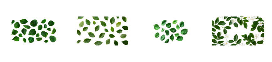 Green leaves arranged in various patterns on transparent background png