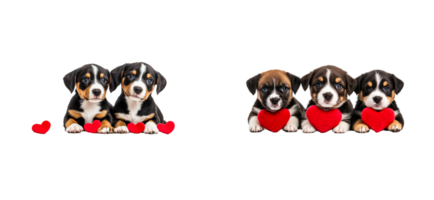 Cute puppies sharing hearts in a playful setting png