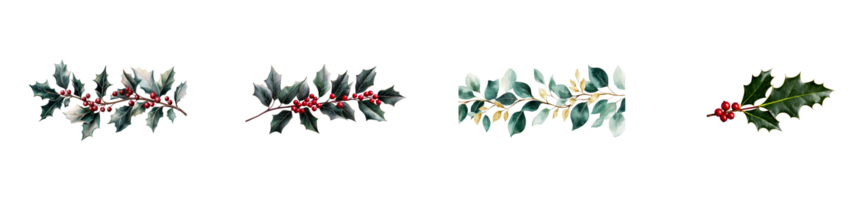 Decorative holly branches with berries on a transparent background png