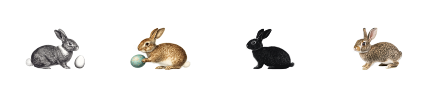 Colorful rabbits with eggs in varying poses on transparent background png