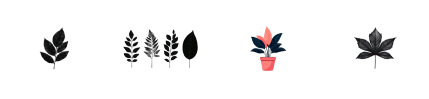 Different styles of leaves with a transparent background for design png