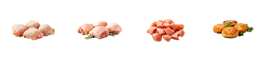Various cuts of chicken under a transparent background png
