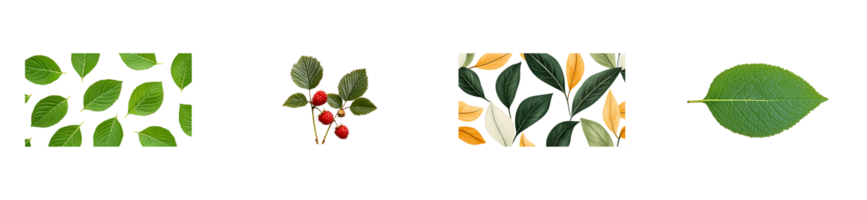 Various leaf patterns and berry clusters on transparent background png