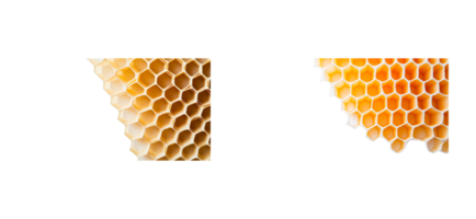 Beehive honeycomb structure showing hexagonal cells and patterns png