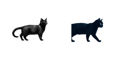 Black cat with a transparent background in various poses png