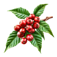 Red Berries Branch With Leaves Transparent Background png