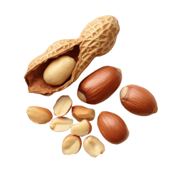 un' avvicinamento Visualizza di pelato e non pelati arachidi in mostra diverso textures e colori su un' trasparente sfondo, gruppo di pelato e non pelati arachidi isolato su trasparente sfondo png