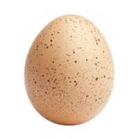 Fresh brown speckled egg placed neatly on a plain transparent background, highlighting its smooth texture and natural speckles, Egg on transparent background png